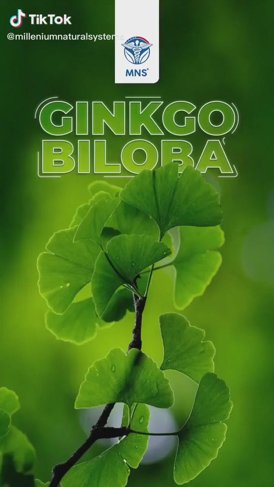 GINKGO BILOBA 240 MG — SYSTEM NUTRITION