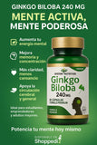 GINKGO BILOBA 240 MG — SYSTEM NUTRITION