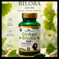 GINKGO BILOBA 240 MG — SYSTEM NUTRITION