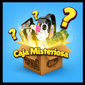 DIAMOND MYSTERY BOX